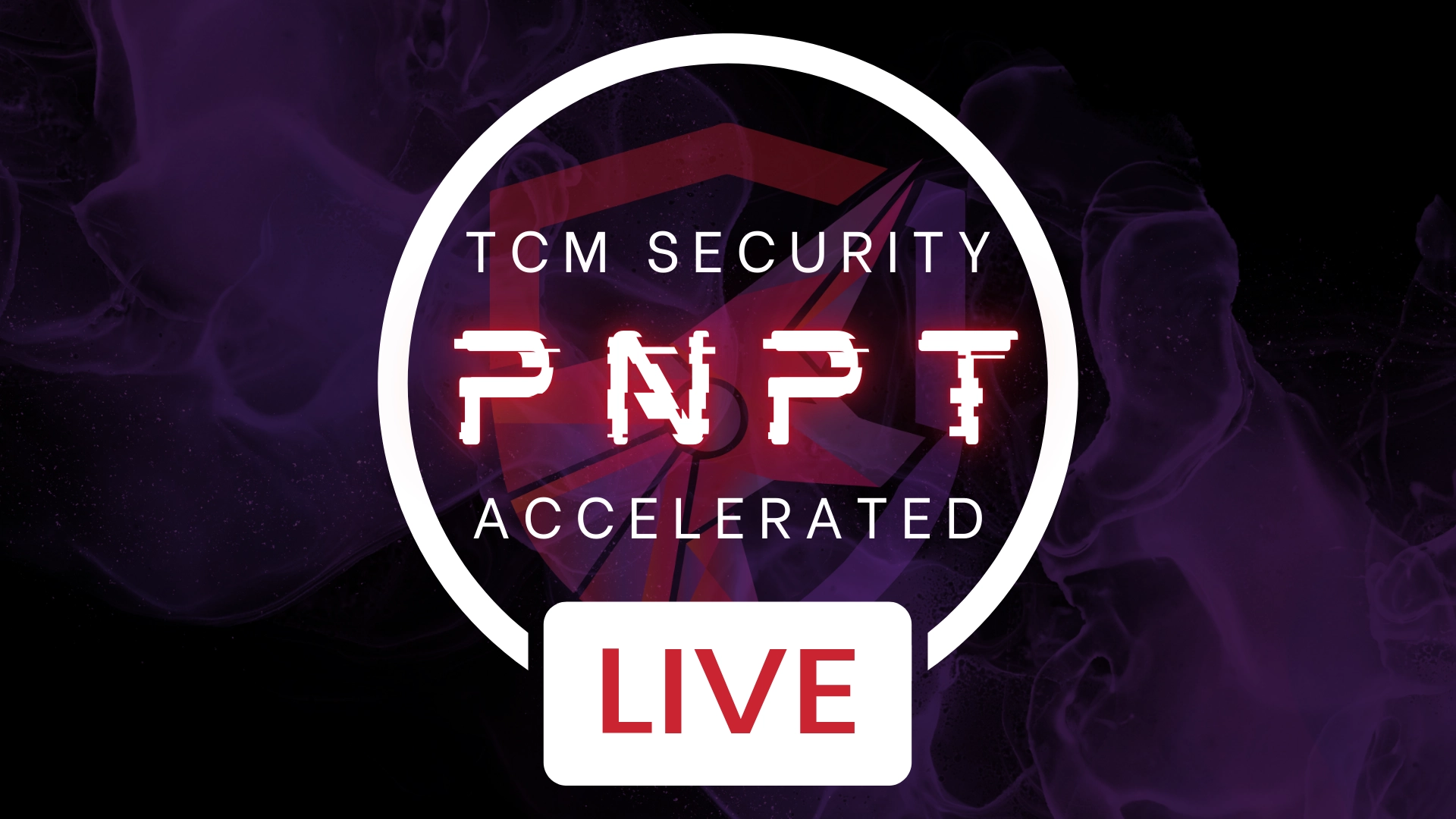 pnpt accelerated camp badge